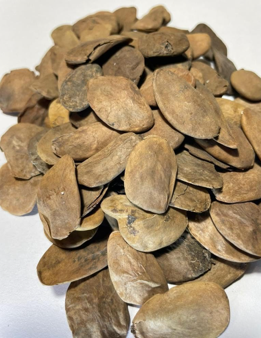 VitaHarmony UmbraBoost (Abere)